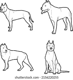 American Staffordshire Terrier Vector Illustration Hand Drawn Animal Cartoon Art