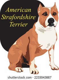 American Staffordshire Terrier Vector Illustration