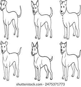 American Staffordshire Terrier Vector Illustration Hand Drawn Animal Cartoon Art