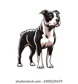 American Staffordshire Terrier vector isolated. This versatile design is ideal for prints, t-shirt, mug, sticker, poster, and many other tasks. Good for any commercial use.