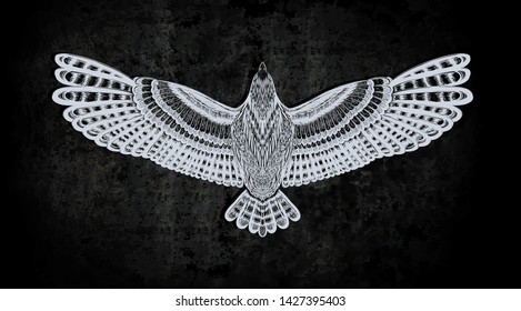 American symbol of freedom. Flying bald eagle on the stone background. Drawing illustration for tattoo art, print t shirt.