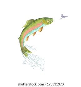 American trout jumps vector ilustration