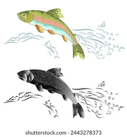 American trout (Oncorhynchus mykiss)  salmon-predatory fish natural and as wrought metal jumps over the weir  vintage vector illustration editable hand draw