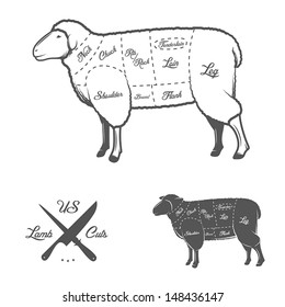 American (US) cuts of lamb or mutton diagram