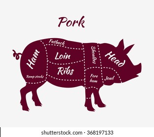 American US pork or pig meat cuts diagram. Barbecue shop vector illustration