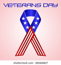 American veterans day celebration in American colors eps10