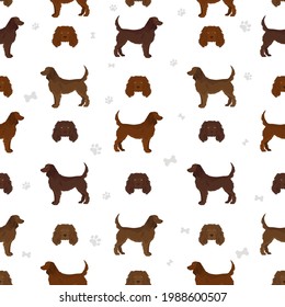 American water spaniel all colours clipart. Different coat colors and poses set.  Vector illustration