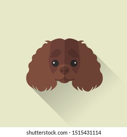 American Water Spaniel Dog Head Vector Flat Design Illustration from Front View for Website Icon, Social Media or Blog Post