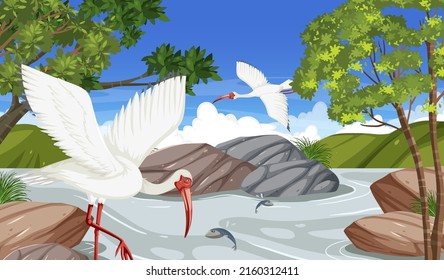 American white ibis in the forest illustration