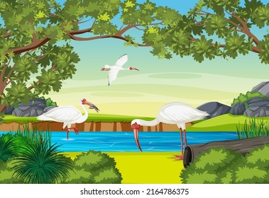 American white ibis in the forest illustration