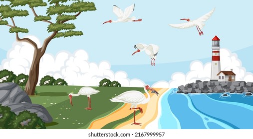 American white ibis group at the coast illustration