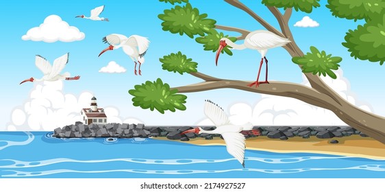 American white ibis group at the coast illustration