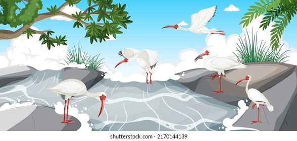 American white ibis group in the forest illustration