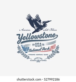 American White Pelican, national Park Yellowstone, blue, illustration, vector