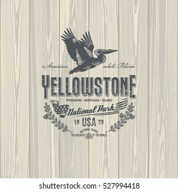 American White Pelican, national Park Yellowstone on wooden background, illustration, vector