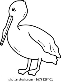 American white pelican. Vector outline icon.