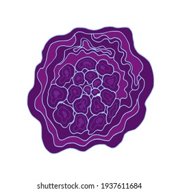 Amethyst crystal cut, isolated on a white background. Vector illustration in cartoon style. Mystical crystals for design and decoration.