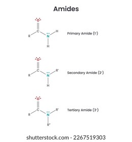 Amides Biochemistry Functional Group science vector infographic