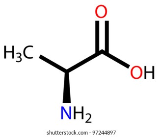 Amino acid alanine structural formula