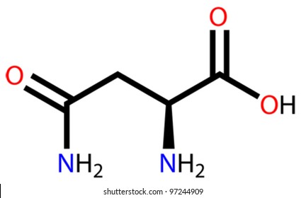 Amino acid asparagine structural formula