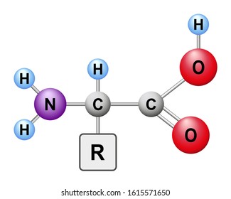 Amino Acid Ball Symbol Vector Illustration. The Structure Of An Alpha Amino Acid In Its Un-ionized Form.