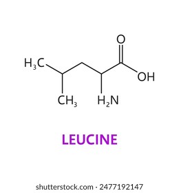 Amino acid chemical molecule of Leucine, molecular formula and structure chain, vector icon. Leucine essential amino acid of biosynthesis of protein for pharmacy medicine and health nutrition study