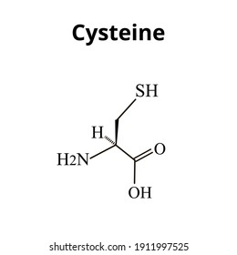 Amino Acid Cysteine Chemical Molecular Formula Stock Vector (Royalty ...