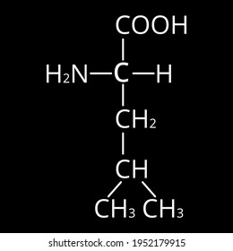 Amino acid Leucine. Chemical molecular formula of amino acid leucine. Vector illustration on isolated background