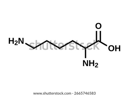 Amino acid lysine structural formula, vector illustration