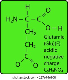 Amino Acid Molecule Skeletal Structure Stock Vector (Royalty Free ...