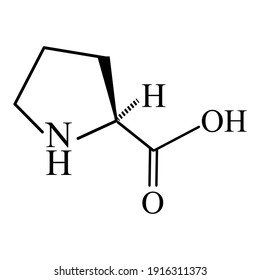 Amino acid Proline. Chemical molecular formula proline amino acid. Vector illustration on isolated background