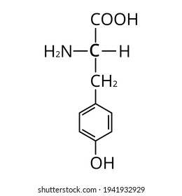 The amino acid Tyrosine. Chemical molecular formula of Tyrosine amino acid. Vector illustration on isolated background