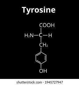 The amino acid Tyrosine. Chemical molecular formula of Tyrosine amino acid. Vector illustration on isolated background