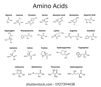 Amino acids. Chemical molecular formula of amino acids. Vector illustration on isolated background