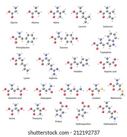 Amino acids -  main structural chemical formulas, 3d illustration on white background, balls & sticks style, vector, eps 8