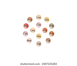 Aminoácidos Modelo molecular aislado sobre fondo blanco. Diseño Científico. Ilustración vectorial.