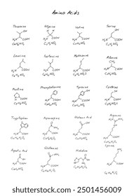 Conjunto de fórmulas de moléculas de aminoácidos, imitación dibujada a mano de asparagina, metionina, arginina, prolina, citosina, fenilalanina, cisteína, etc., modelos estructurales colección