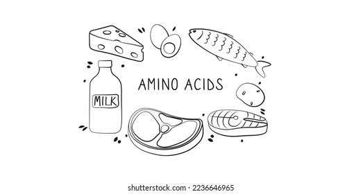 Amino acids-containing food. Groups of healthy products containing vitamins and minerals. Set of fruits, vegetables, meats, fish and dairy