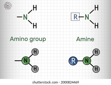 Amino group (primary, -NH2) and amine compound. It is functional group comprised of nitrogen atom linked to hydrogen atoms. Amino group attached to an organic compound is an amine. Vector illustration