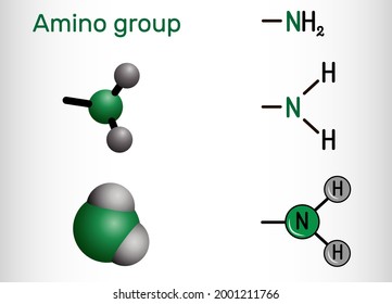 Amino group, (primary, -NH2). It is functional group comprised of a nitrogen atom linked to hydrogen atoms. Amino group attached to an organic compound is an amine. Vector illustration