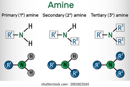 Amino group (primary, secondary, tertiary). It is functional group comprised of nitrogen atom linked with a lone pair. Amino group attached to an organic compound is an amine. Vector illustration