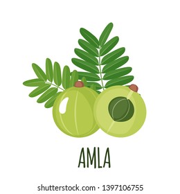 Amla Icon In Flat Style Isolated On White Background. Indian Gooseberry. Superfood Amla Medical Fruit. Vector Illustration.