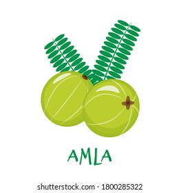 Amla, indian gooseberry, isolated on white background. Vector flat illustration.