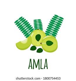 Amla, indian gooseberry, isolated on white background. Cosmetics and medical plant. Vector flat illustration.