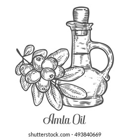 Amla Indian gooseberry oil, Phyllanthus emblica. Hand drawn engraved vector sketch etch illustration. Ingredient for hair and body care cream, lotion, treatment, moisture. Black on white background
