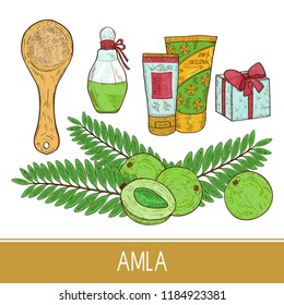 Amla. Plant. Fruit, leaf. Bottle, gift, cream, spoon, powder. Sketch. Set. Color