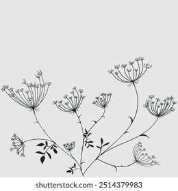 Composición de Vector de campo de flores Ammi