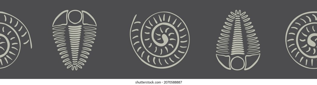 Ammonite trilobite vector seamless border. Hand drawn banner of spiral-form shell cephalopod and arthropod ribbed fossils. Brown off white backdrop.Extinct marine predators. For museum, edging, trim