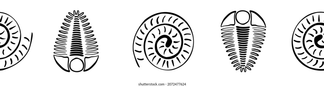 Ammonite trilobite vector seamless border. Hand drawn banner of spiral-form shell cephalopod and arthropod ribbed fossils. Monochrome backdrop.Extinct marine predators. For museum, edging, trim