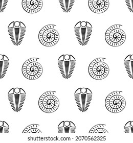 Ammonite trilobite vector seamless pattern background. Hand drawn spiral-form shell cephalopod and arthropod ribbed fossils. Monochrome backdrop.Extinct marine predators. Repeat for education